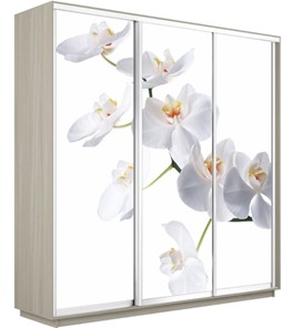 Шкаф 3-створчатый Экспресс 2400х600х2200, Орхидея белая/шимо светлый в Волгограде