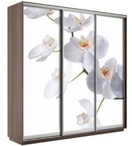 Шкаф трехдверный Экспресс 2400х600х2200, Орхидея белая/шимо темный в Волгограде