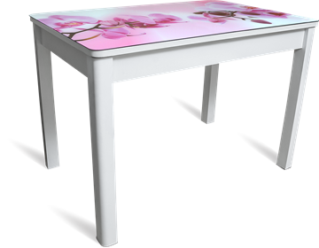 Кухонный раскладной стол Айсберг мини СТФ, белое лдсп/орхидея/40 прямые массив белые в Волгограде