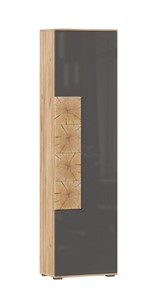 Шкаф одностворчатый Фиджи с декоративными накладками 659.300, Дуб Золотой/Антрацит в Волгограде
