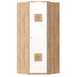 Шкаф угловой 45 с декоративной накладкой Фиджи, 659.248, белый в Волгограде