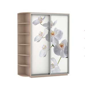 Шкаф 2-х створчатый Экспресс 1900x600x2200, со стеллажом, Орхидея белая/дуб молочный в Волгограде